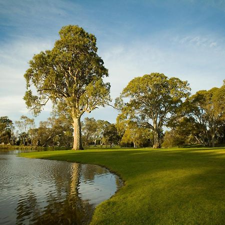 Serafino Mclaren Vale Kültér fotó
