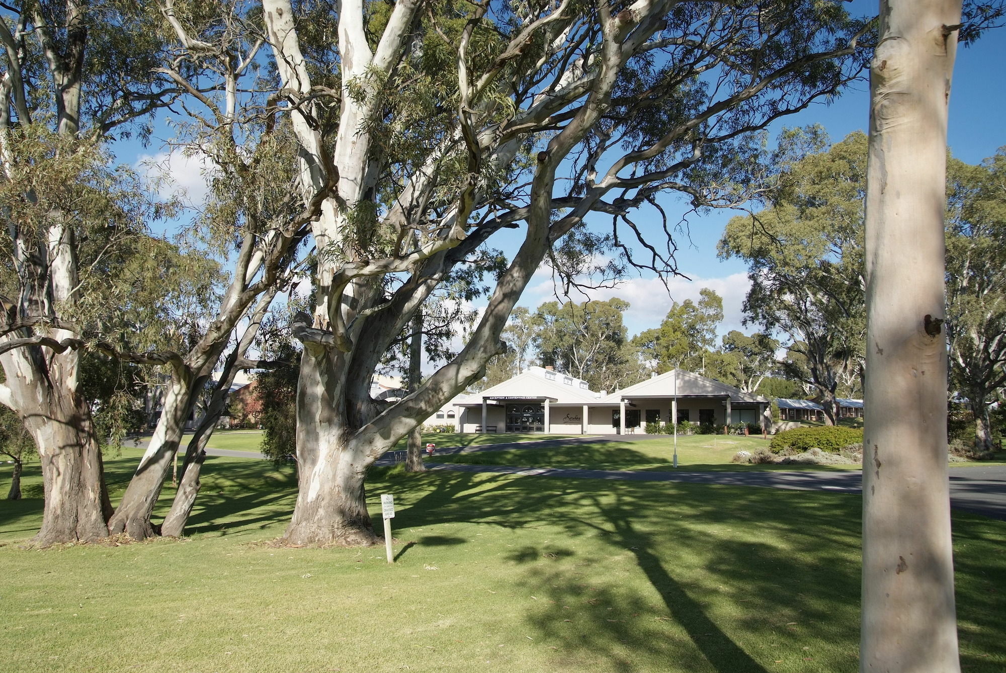 Serafino Mclaren Vale Kültér fotó